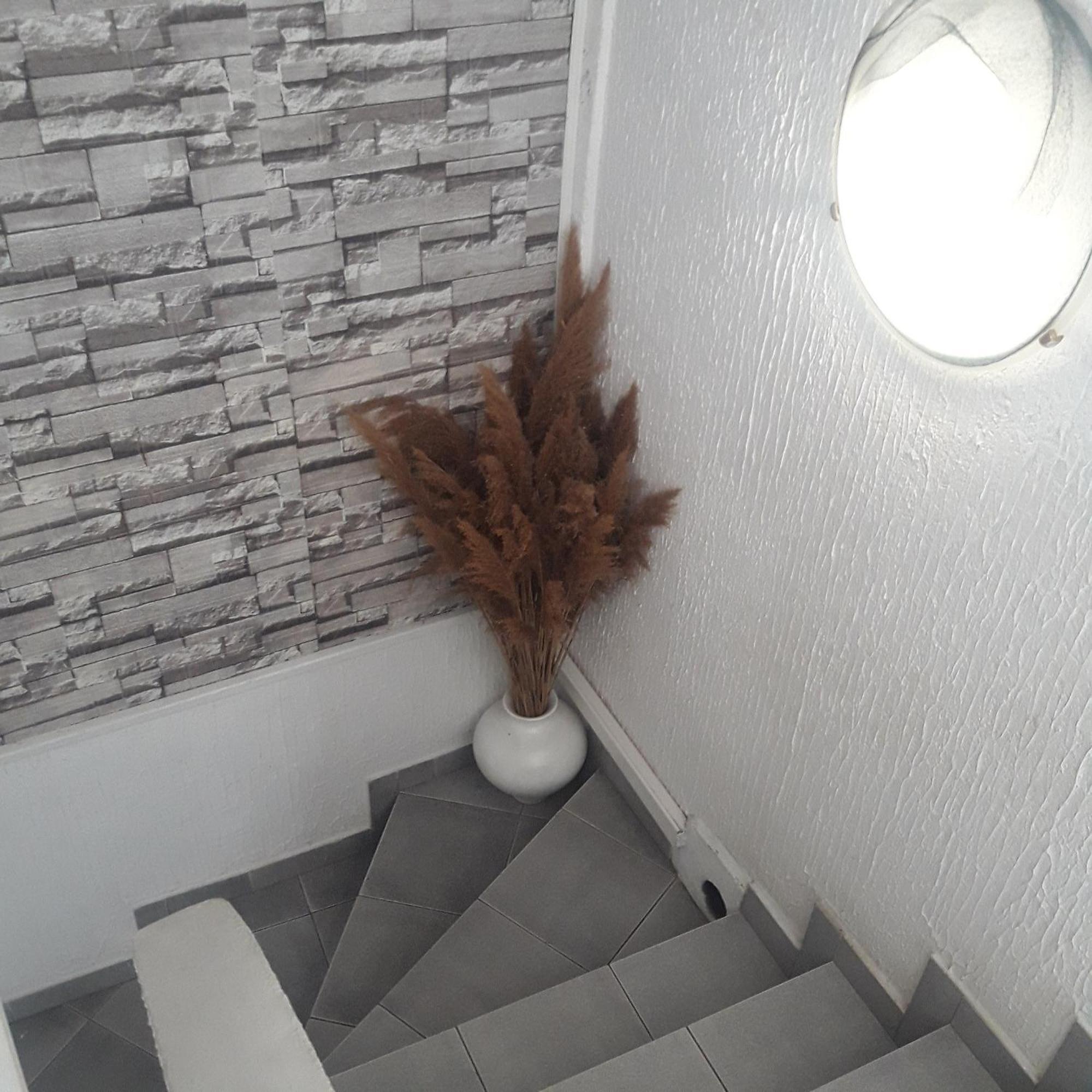 Apartmani Ni Dış mekan fotoğraf